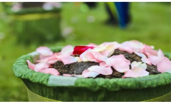 撫順墓園實(shí)景圖