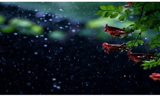 沈陽(yáng)墓園雨夜