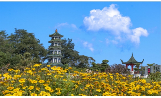 沈陽(yáng)墓地實(shí)景圖