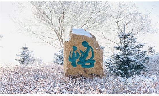 沈陽墓園實景圖