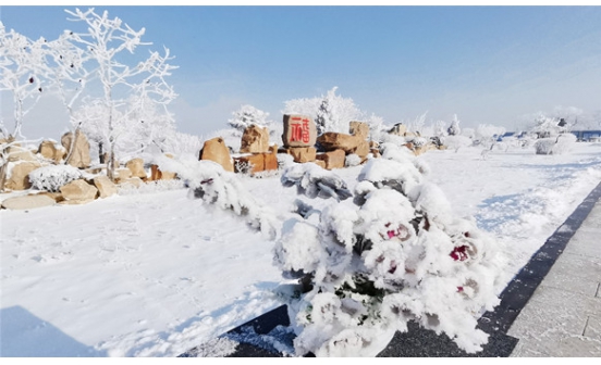 沈陽墓地實景圖