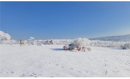 沈陽(yáng)墓地實(shí)景圖