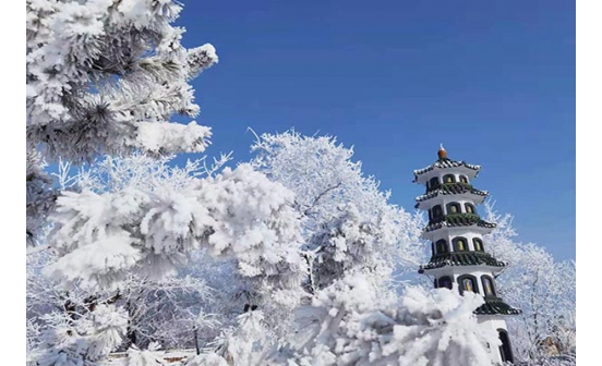 清明節(jié)你了解嗎？