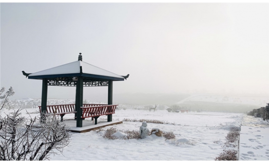 撫順墓園實景圖