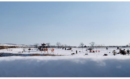 不一樣的喪葬習(xí)俗&mdash;&mdash;沙特阿拉伯