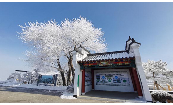在沈陽墓園中怎么來祭祀