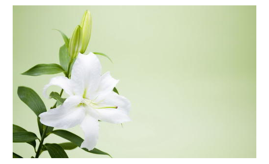 二十四節(jié)氣是怎么來(lái)的？