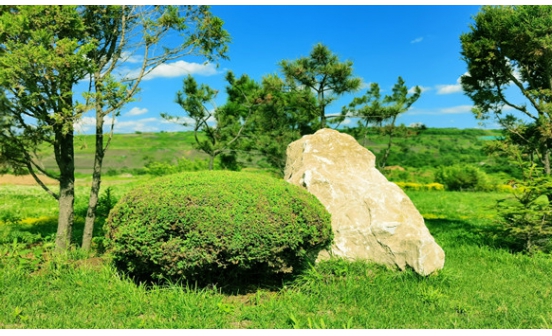 沈陽墓地實(shí)景圖