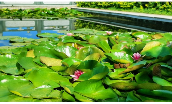 沈陽墓園實景圖