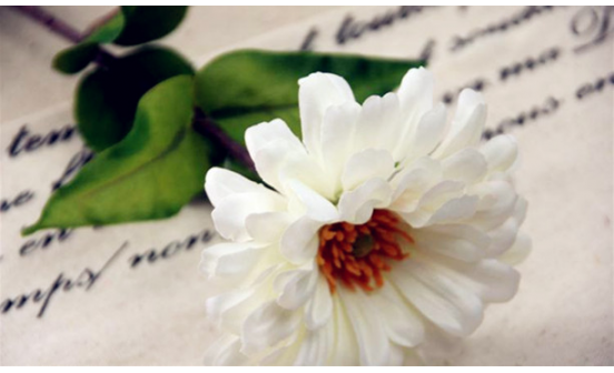 老北京傳統(tǒng)喪葬習(xí)俗（四）