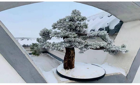 古時(shí)候殯葬如何防腐、防盜