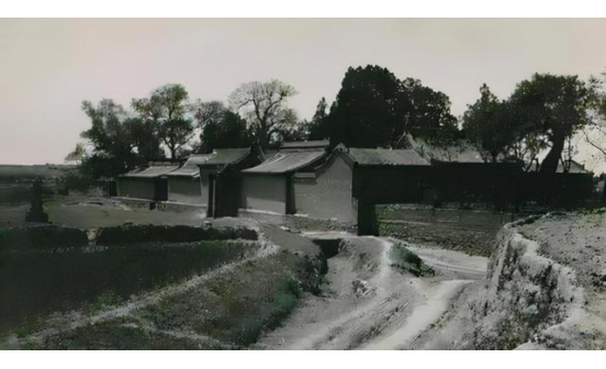 和沈陽墓園小編一起看農(nóng)村奇聞（一）