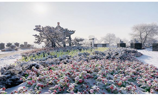 和沈陽墓園小編一起看農(nóng)村奇聞（二）