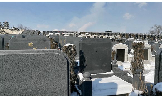 墓位管理費(fèi)你知道嗎？