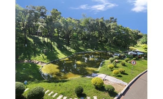 為什么人去世后放炮