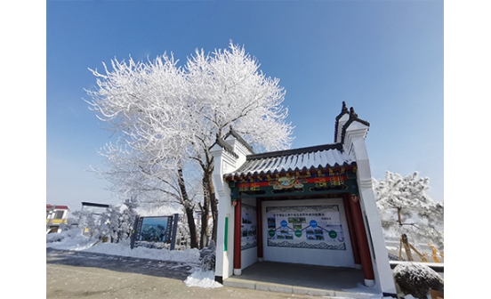 家屬逝世，有什么樣的待遇領(lǐng)取