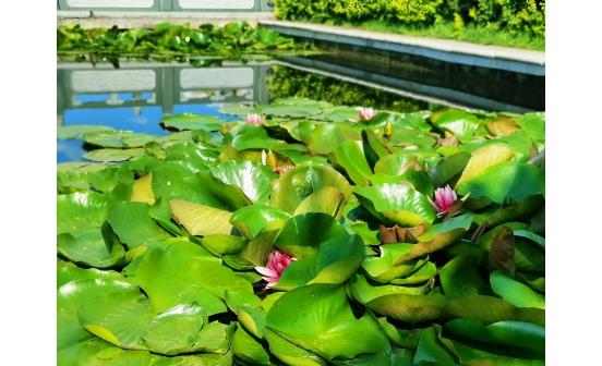 沈陽墓地分享佛教的喪葬觀念