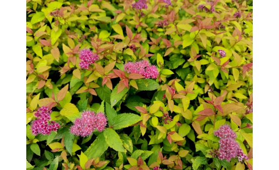 國外去世遺體回國每個國家審批程序