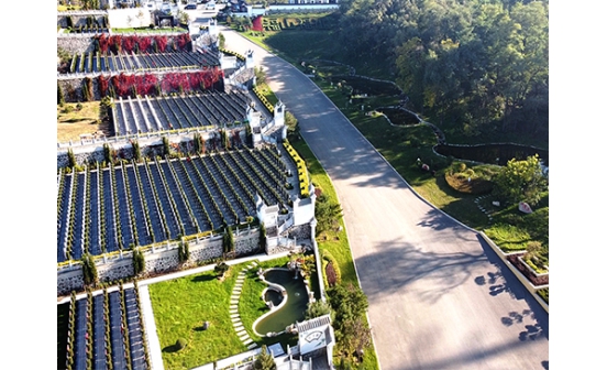 一萬多能買公墓嗎？