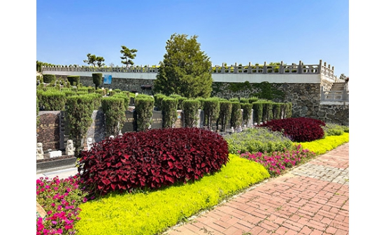 前100名丨福山主題語征集評審初選結果熱辣出爐