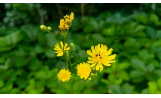 30強產生，距離5000元大獎又近一步！